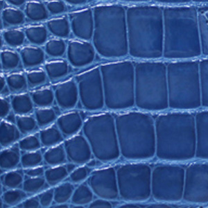 ヴィトンライン_アリゲーター＆クロコダイル