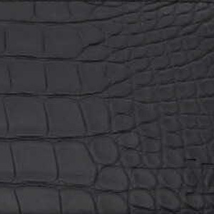 ヴィトンライン_アリゲーターマット