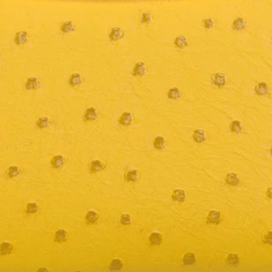 ヴィトンライン_オーストリッチ