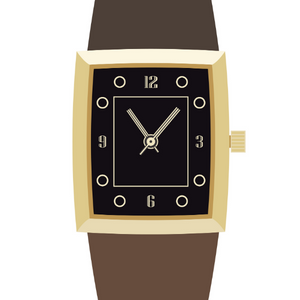 トノー型ケース